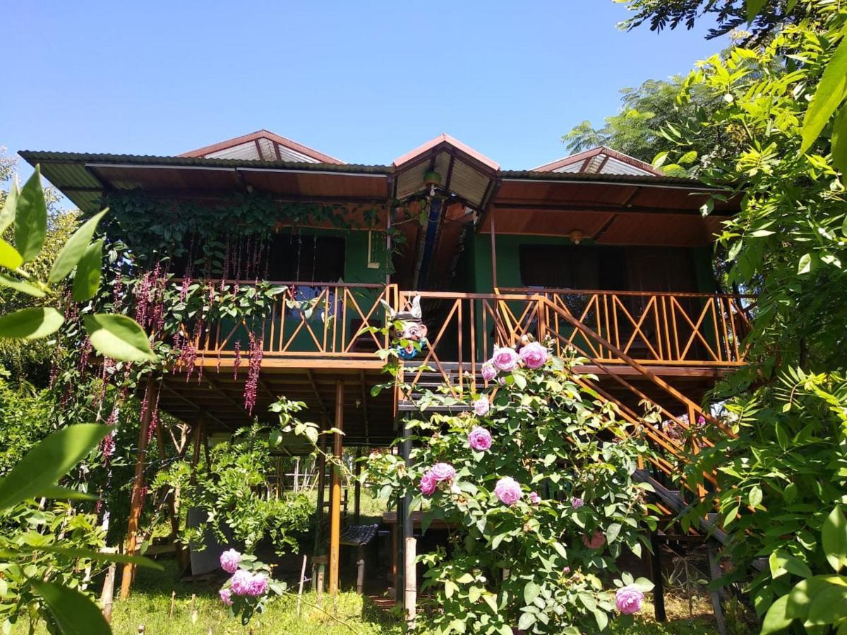 Mist Valley Hotel Masinagudi Exterior foto
